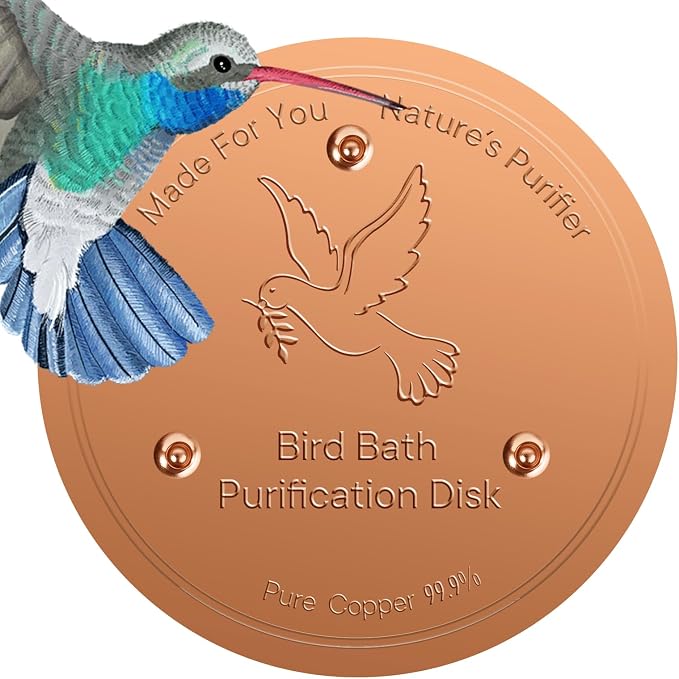 Backyard Birding & Wildlife