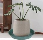 6 Pack of Bird Bath Bowl 8 inch, 8 10 12 14 16 18 20 inch Heavy Duty BirdBath - Image 7
