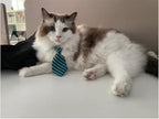 4 Pieces Pets Dog Cat Bowtie Pet Costume Adjustable Formal Necktie Collar - Image 3