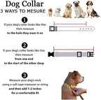 Roses&Poetry Reflective Dog Collar - Image 9