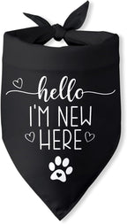 Hello I'm New Here Dog Bandana New Puppy Announcement Gift by PwrlveiutforYou