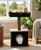 Modern Cat Tree for Indoor Cats, Nordic Loft Style, Cat Tower for Kitten by Purrlato