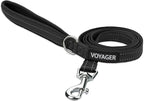 Best Pet Supplies Voyager Reflective Dog Leash or Collar by BestPetSuppliesLLC
