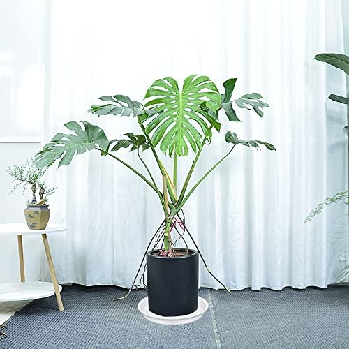 4 Pack of 16 inch Plant Saucer White, Bird Bath Bowls, Heavy Duty Plastic Plant - Image 2
