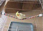 Bird Rope Perches, Parrot Toys 41 inches Rope Bungee Bird Toy - Image 6