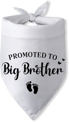 Promoted to Big Brother Pregnancy Announcement Dog Bandana Baby Announcement by PwrlveiutforYou