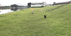 AmaGood Dog/Puppy Obedience Recall Training Agility Lead-15ft 20ft 30ft 50ft - Image 6