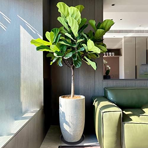 4 Pack of 16 inch Plant Saucer, Heavy Duty Plastic Plant Tray - Image 2