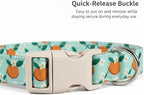 Dog Collar, Spring Summer Dog Collar - Image 3