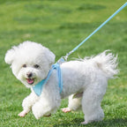 AIITLE Escape Proof Dog Harness - Image 7