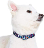 Blueberry Pet Essentials Rainbow Polka Dots Adjustable Dog Collar, Neck 12"-16" - Image 3