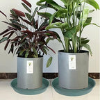 6 Pack of 10 inch Plant Saucer Bird Bath Bowl, Heavy Duty Plastic Plant Saucer - Image 5