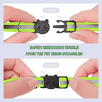 2 Pack Cat Collars Quick Release Reflective Kitten Collar - Image 2