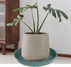 2 Pack of Bird Bath Bowl 19", 2.3" Depth, 18 19 inch Plant Tray Saucer - Image 4