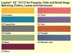 LupinePet Eco 1/2" Lilac Cat Safety Collar - Image 2
