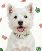 Summer Dog Collar for Large Dogs, Cute Dog Collar - Image 7