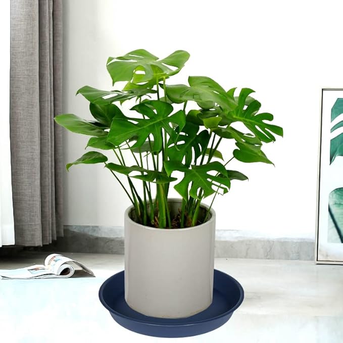 6 Pack of 7 inch Plant Saucer, Heavy Duty Plastic Plant Water Tray 7 inch Round - Image 5