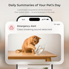 Petcube Cam 360 The Pack of 3 Camera | Ultimate Interactive WiFi Pet and Home - Image 4
