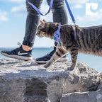 RC Pets Adventure Kitty Cat Harness | Adjustable Airmesh Vest - Image 2