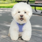 Best Pet Supplies Voyager Step-in Air Harness - Image 6