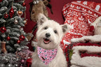Lionet Paws Cotton Christmas Dog Bandanas Pink, Gloves Tree Comfortable Dog - Image 4