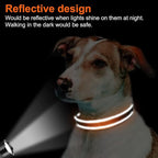 Joytale Reflective Dog Collar, Soft Neoprene Padded, Metal D-Ring, Nylon Pet - Image 5