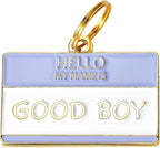 Two Tails Pet Company Personalized 'Good Boy' Pet ID Tag & Collar Charm by TwoTailsPetCompany