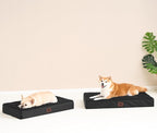 EHEYCIGA Orthopedic Dog Beds for Large Dogs - Image 9