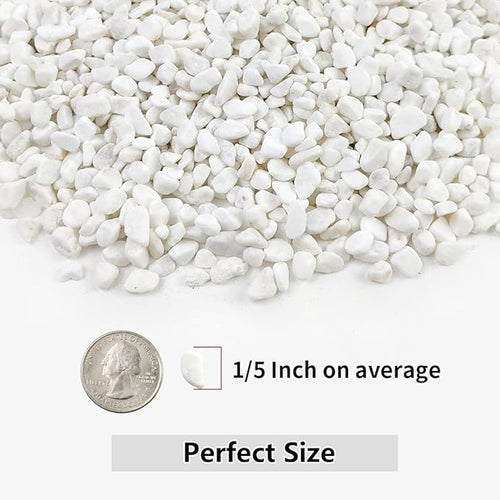 5LB Succulent and Cactus Gravel Pebbles, 1/5 Inch White Natural Decorative - Image 2