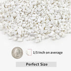 2LB Succulent and Cactus Gravel Pebbles, 1/5 Inch White Natural Decorative - Image 2