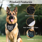 I Like Big Bones and I Can Not Lie Black Dog Bandana, Funny Bones Printing - Image 3