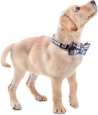 Faleela Soft &Comfy Bowtie Dog Collar, Detachable and Adjustable Bow Tie Collar - Image 6