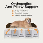 Small Dog Bed Orthopedic Washable Cat Bed Memory Foam Small Couch Sofa Indoor - Image 3