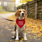Big Sister Dog Bandana, Pet Dogs Pregnancy Announcement, Pet Bandanas - Image 5