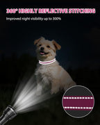Joytale Small Dog Collar, Reflective and Adjustable Nylon Collar - Image 5