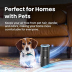 Lab Charge Small Ionic Air Purifier - Image 3