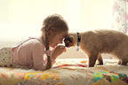 Baeuppit 2PCS Breakaway Cat Collars - Image 6