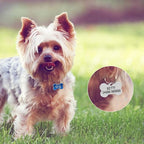 Personalized Dog Cute Paw Pet ID Tag - Image 7