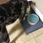 Hoki Found -Waterproof Pet Feeding Mats - Image 5