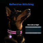 Reflective Dog Collar for Medium Dogs - Image 3
