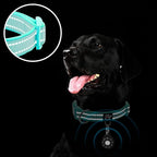 azuza Reflective Dog Collar - Image 5