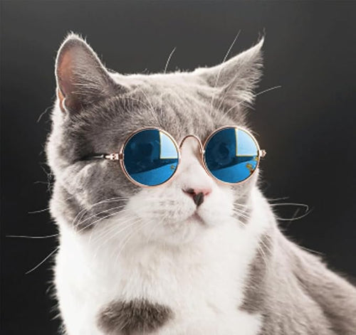 6 Pieces Pets Dog Cat Bowtie Pet Sunglasses and Summer Pet Straw Hat - Image 2