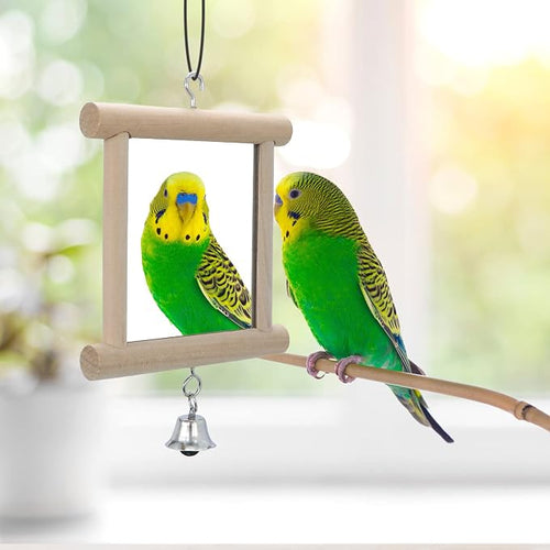 4 PCS Bird Mirror with Bell Parrot Hanging Interactive Playing Toy - Image 2