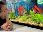 Aquarium Stone for Natural Water Clarification and Odor Removal Featuring - Image 6