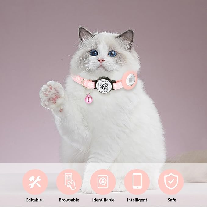 Cat Collar with Name Tag Breakaway: Kitten Collars - Image 5