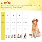 Yellow Dog Collar for Medium Dogs, Spring & Summer Theme Medium Dog Collars - Image 2