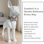 SuperBuddy Dog Collar and Leash, Breathable Adjustable Dog Collar-Safe - Image 4