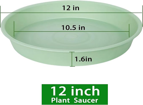 6 Pack of 12 inch Plant Saucer, Heavy Duty Plastic Plant Saucer 12" Round - Image 2