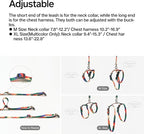 pidan Cat Harness & Leash Set, Cats Escape Proof Adjustable Kitten Harness - Image 4