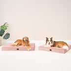 EHEYCIGA Orthopedic XL Dog Beds - Image 9